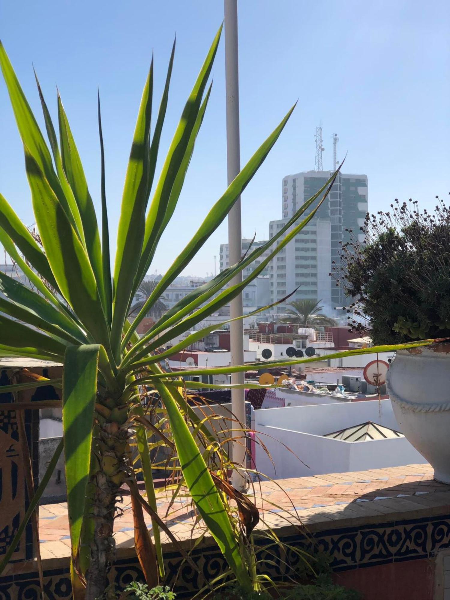 Riad Razoli Sidi Fateh 拉巴特 外观 照片